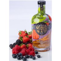 GTEA Summer Fruits Gin