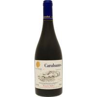 Vina von Siebenthal Carabantes Syrah 2022