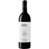 Aster Finca El Otero 2021