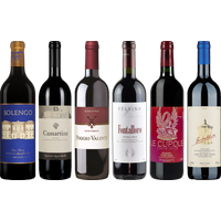 Super Tuscan Tasting Case