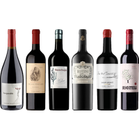 Argentinian Malbec Premium Tasting Case