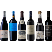 South African Red Wine Premium Tasting Case