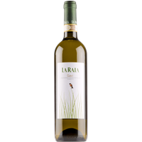 La Raia Gavi 2023