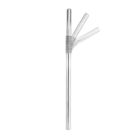 Bendable Stainless Steel Straws
