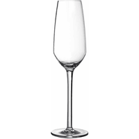 Winebuyers Iris Shatterproof Plastic Champagne Flute, 24cl, Tritan, Dishwasher Safe, BPA FreeBy Winebuyers