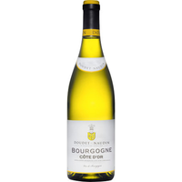 Doudet-Naudin Bourgogne Côte d’Or Chardonnay 2022/23
