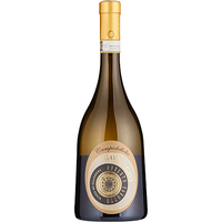 Roberto Sarotto 'Campo dell'Olio' Gavi di Gavi DOCG 2023/24