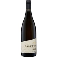 Balfour 1503 Ortega